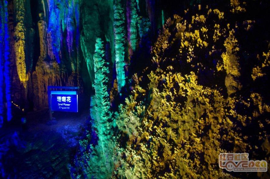 西宁市城中区：扎实推进年度绩效目标考核
